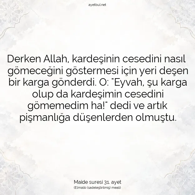 Ayetbul | Kuran Mealleri | Quran | Maide suresi 31. ayet