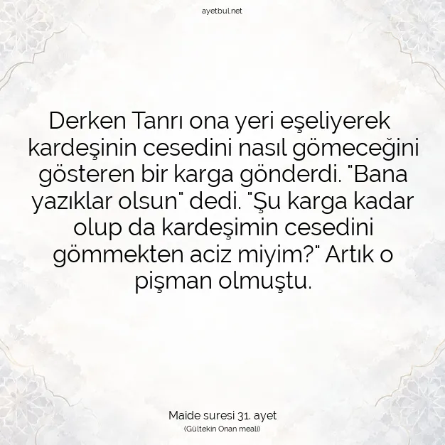 Ayetbul | Kuran Mealleri | Quran | Maide suresi 31. ayet