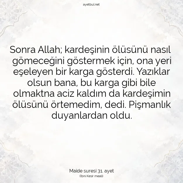 Ayetbul | Kuran Mealleri | Quran | Maide suresi 31. ayet