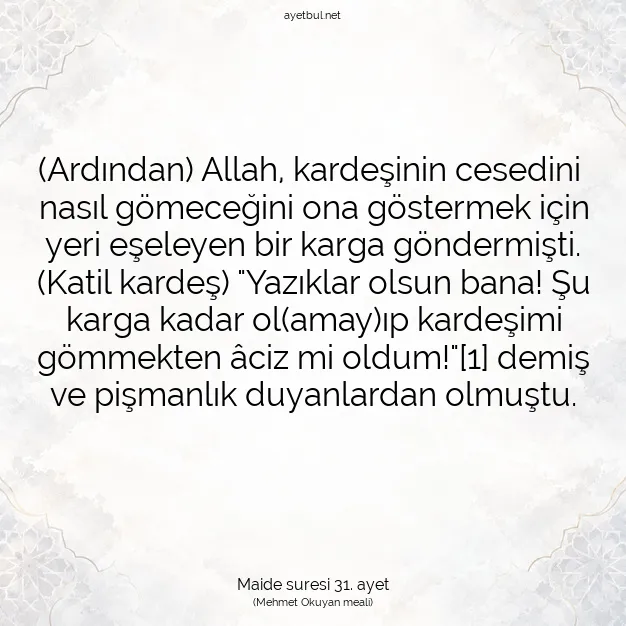 Ayetbul | Kuran Mealleri | Quran | Maide suresi 31. ayet