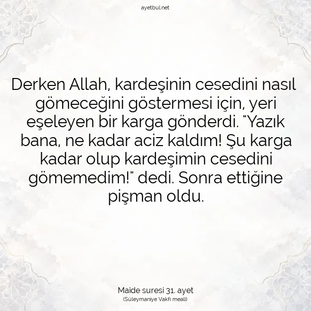 Ayetbul | Kuran Mealleri | Quran | Maide suresi 31. ayet
