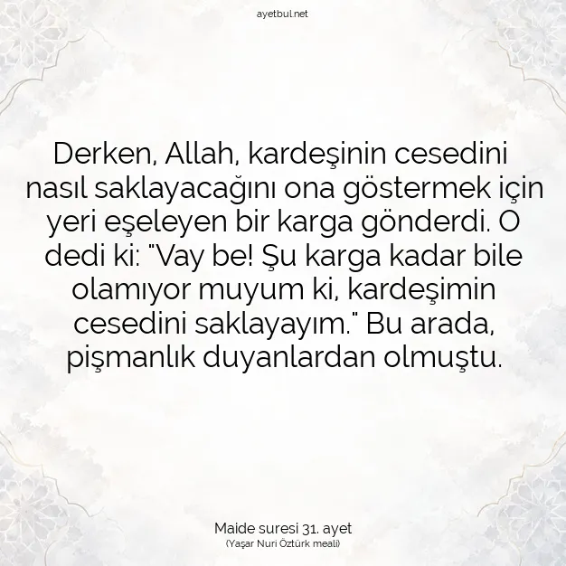 Ayetbul | Kuran Mealleri | Quran | Maide suresi 31. ayet