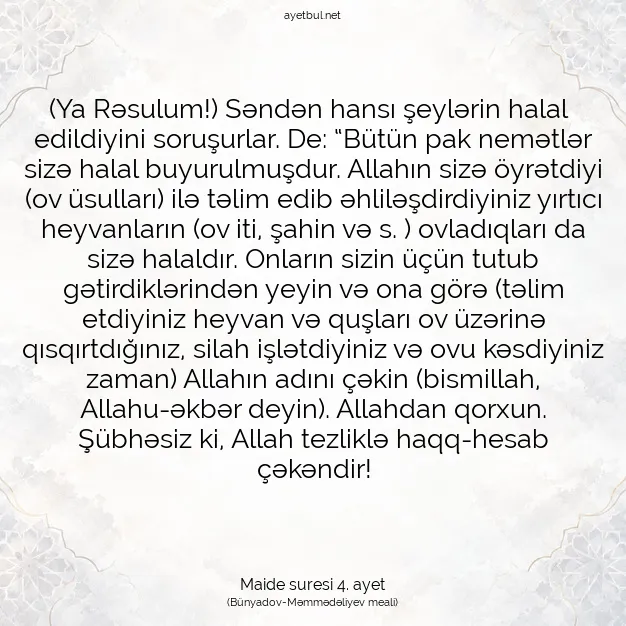 Ayetbul | Kuran Mealleri | Quran | Maide suresi 4. ayet
