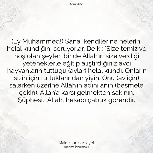Ayetbul | Kuran Mealleri | Quran | Maide suresi 4. ayet