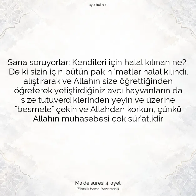 Ayetbul | Kuran Mealleri | Quran | Maide suresi 4. ayet