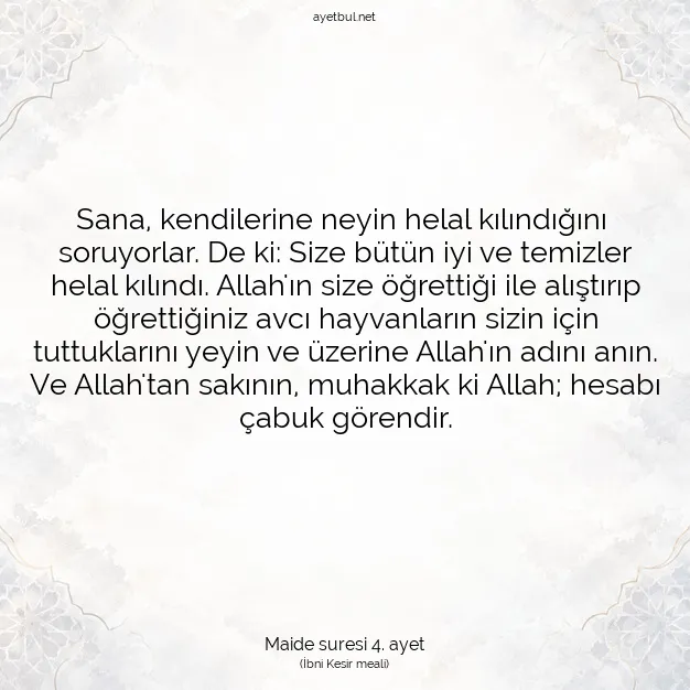 Ayetbul | Kuran Mealleri | Quran | Maide suresi 4. ayet