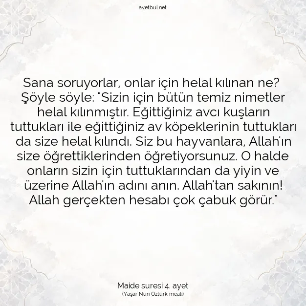 Ayetbul | Kuran Mealleri | Quran | Maide suresi 4. ayet