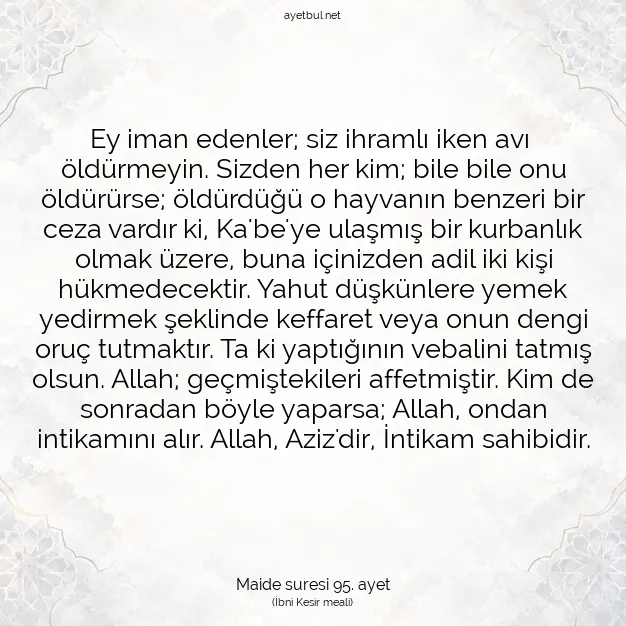 Ayetbul | Kuran Mealleri | Quran | Maide suresi 95. ayet