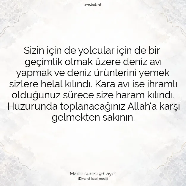 Ayetbul | Kuran Mealleri | Quran | Maide suresi 96. ayet