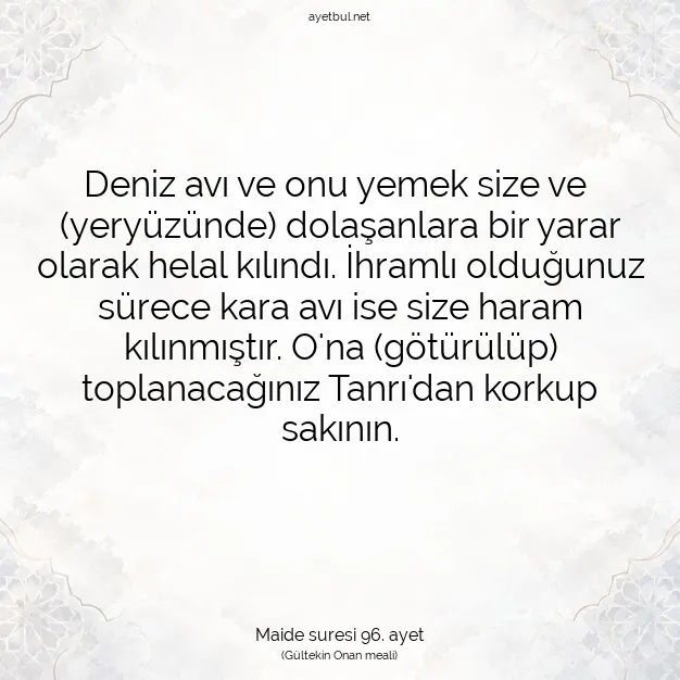 Ayetbul | Kuran Mealleri | Quran | Maide suresi 96. ayet