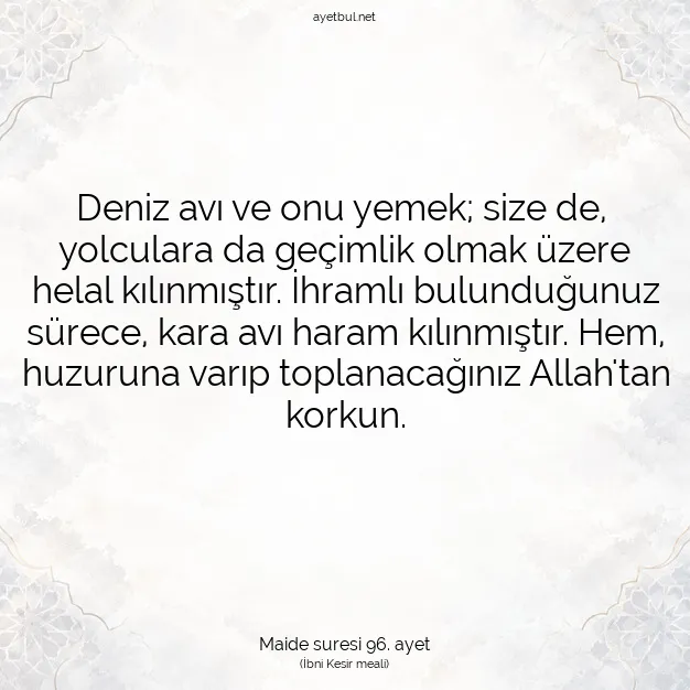 Ayetbul | Kuran Mealleri | Quran | Maide suresi 96. ayet