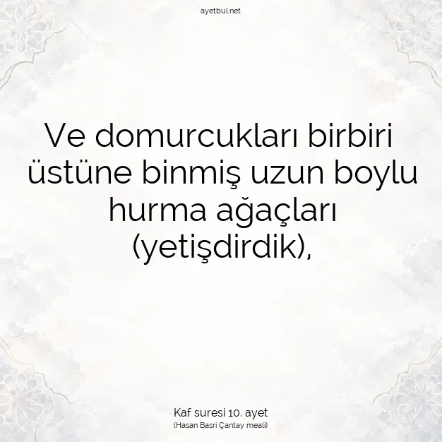 Ayetbul | Kuran Mealleri | Quran | Kaf suresi 10. ayet