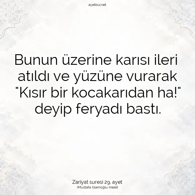 Ayetbul | Kuran Mealleri | Quran | Zariyat suresi 29. ayet