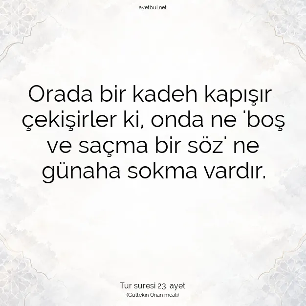 Ayetbul | Kuran Mealleri | Quran | Tur suresi 23. ayet