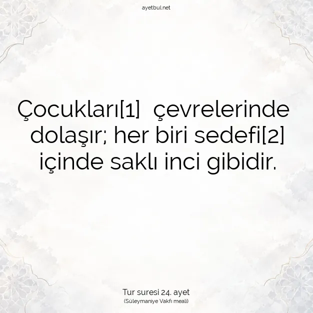 Ayetbul | Kuran Mealleri | Quran | Tur suresi 24. ayet