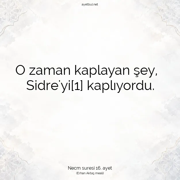 Ayetbul | Kuran Mealleri | Quran | Necm suresi 16. ayet