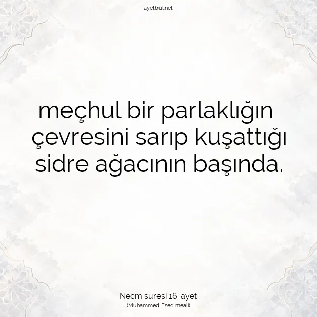 Ayetbul | Kuran Mealleri | Quran | Necm suresi 16. ayet