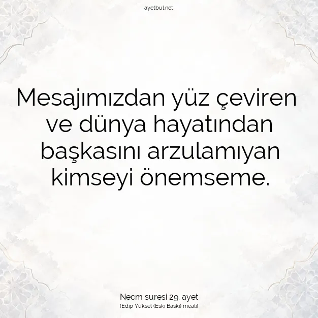 Ayetbul | Kuran Mealleri | Quran | Necm suresi 29. ayet