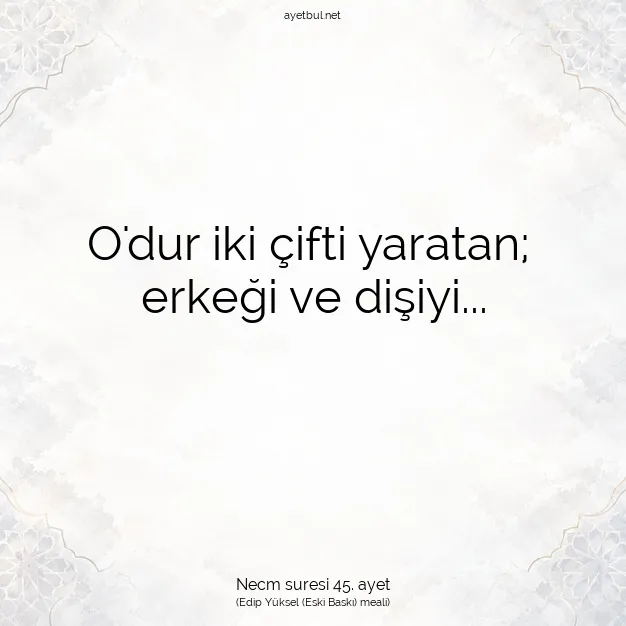 Ayetbul | Kuran Mealleri | Quran | Necm suresi 45. ayet