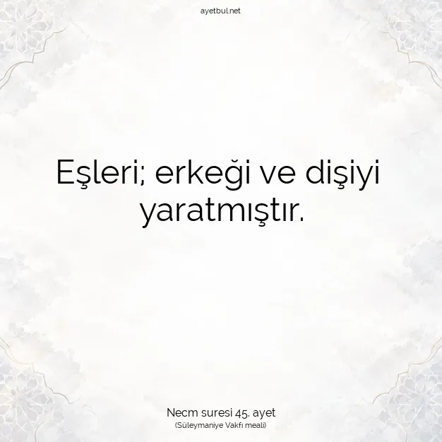 Ayetbul | Kuran Mealleri | Quran | Necm suresi 45. ayet