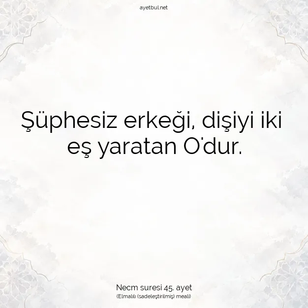 Ayetbul | Kuran Mealleri | Quran | Necm suresi 45. ayet
