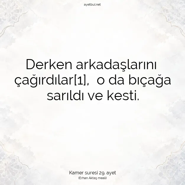 Ayetbul | Kuran Mealleri | Quran | Kamer suresi 29. ayet