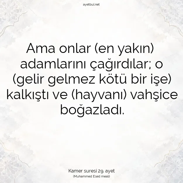 Ayetbul | Kuran Mealleri | Quran | Kamer suresi 29. ayet