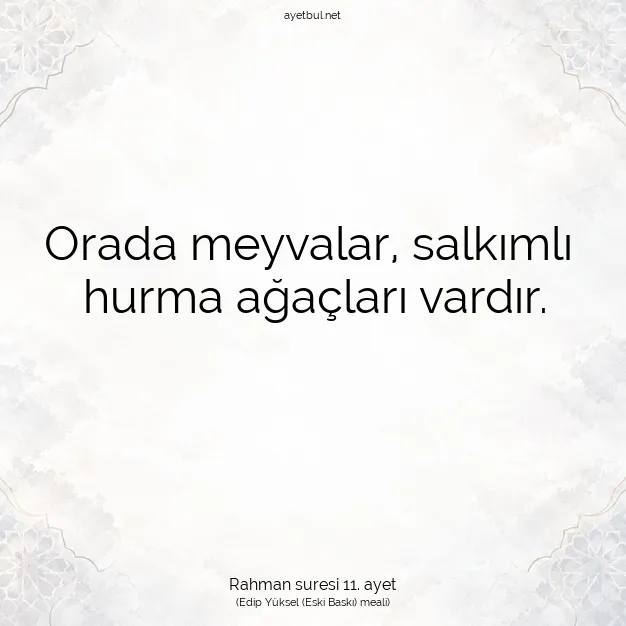Ayetbul | Kuran Mealleri | Quran | Rahman suresi 11. ayet