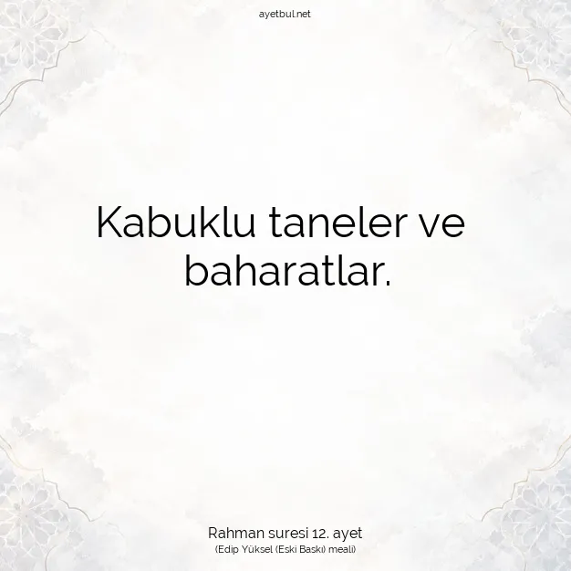 Ayetbul | Kuran Mealleri | Quran | Rahman suresi 12. ayet