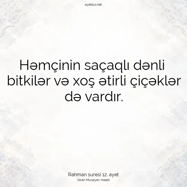 Ayetbul | Kuran Mealleri | Quran | Rahman suresi 12. ayet