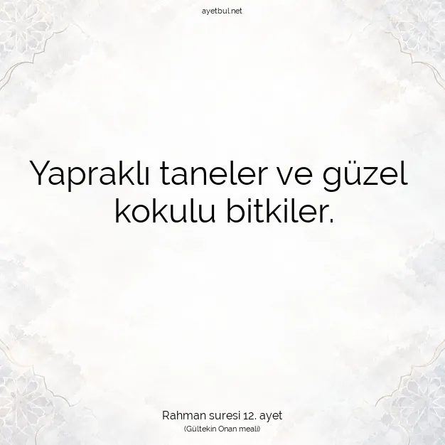 Ayetbul | Kuran Mealleri | Quran | Rahman suresi 12. ayet