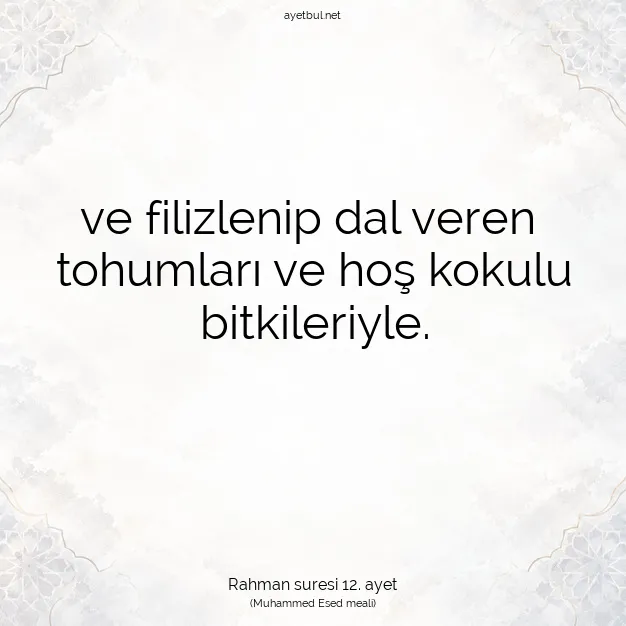 Ayetbul | Kuran Mealleri | Quran | Rahman suresi 12. ayet