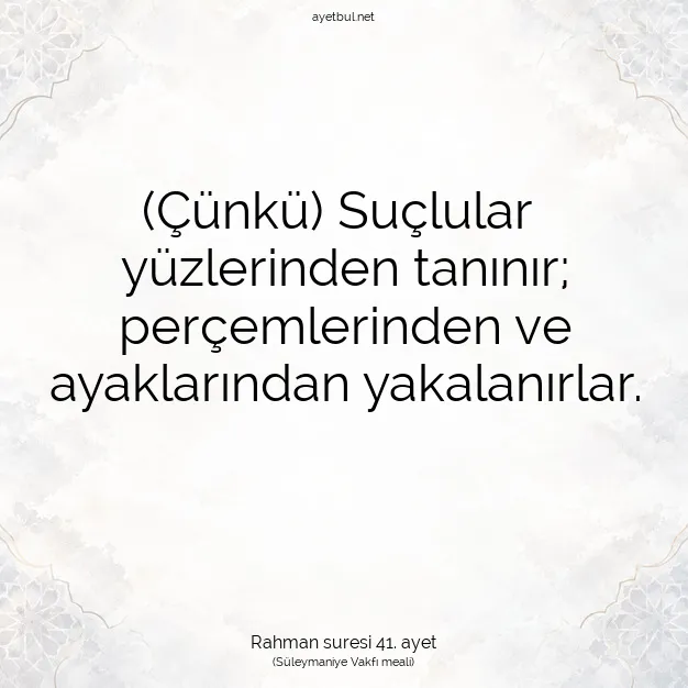 Ayetbul | Kuran Mealleri | Quran | Rahman suresi 41. ayet