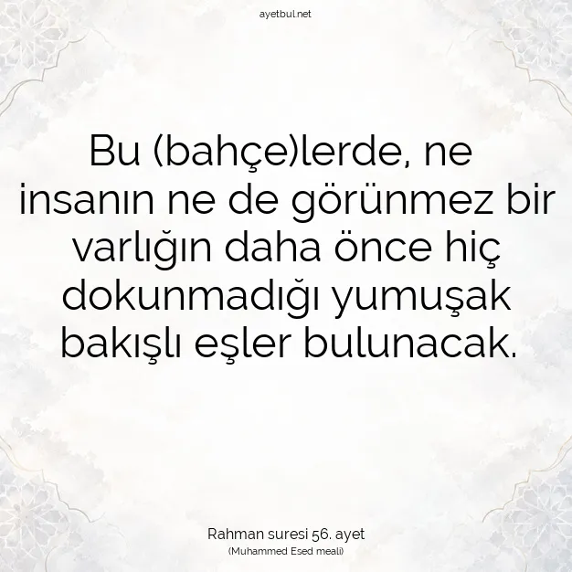 Ayetbul | Kuran Mealleri | Quran | Rahman suresi 56. ayet