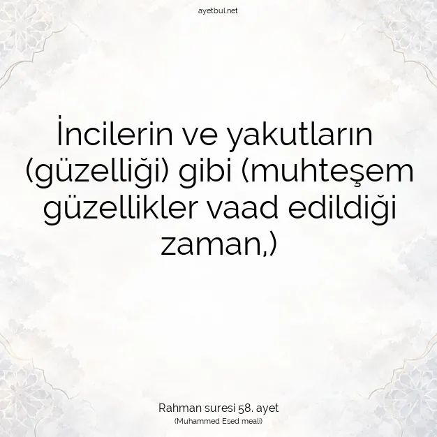 Ayetbul | Kuran Mealleri | Quran | Rahman suresi 58. ayet