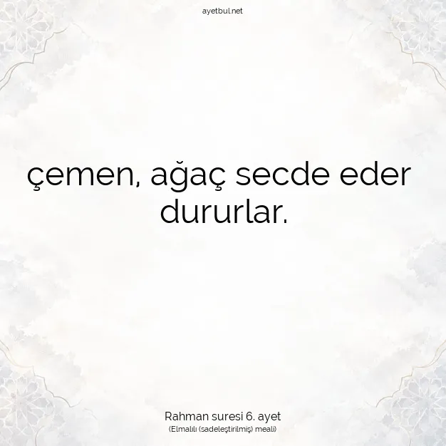 Ayetbul | Kuran Mealleri | Quran | Rahman suresi 6. ayet