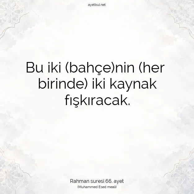 Ayetbul | Kuran Mealleri | Quran | Rahman suresi 66. ayet