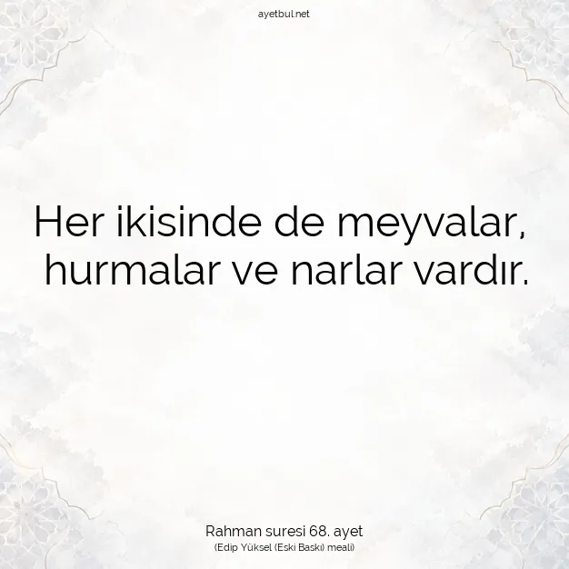 Ayetbul | Kuran Mealleri | Quran | Rahman suresi 68. ayet
