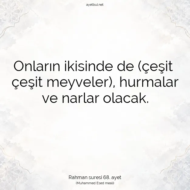 Ayetbul | Kuran Mealleri | Quran | Rahman suresi 68. ayet