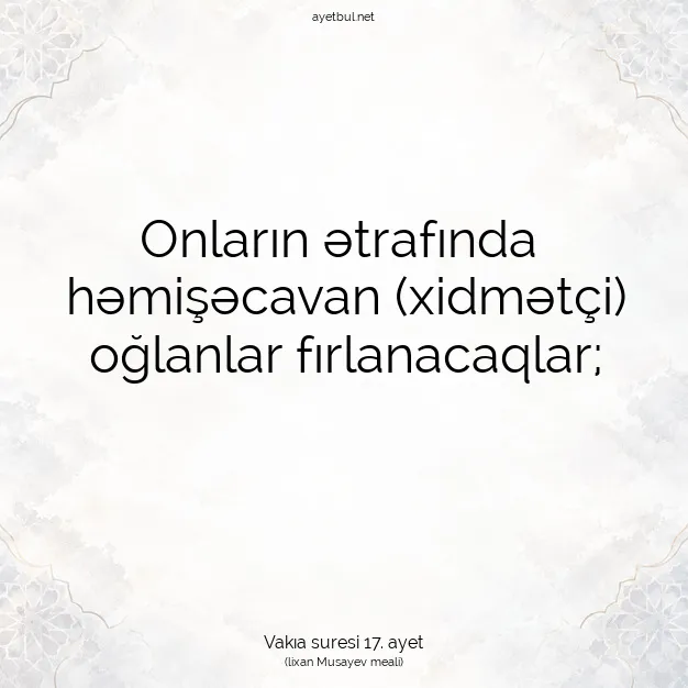 Ayetbul | Kuran Mealleri | Quran | Vakıa suresi 17. ayet