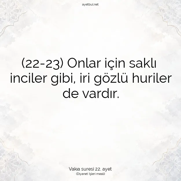 Ayetbul | Kuran Mealleri | Quran | Vakıa suresi 22. ayet