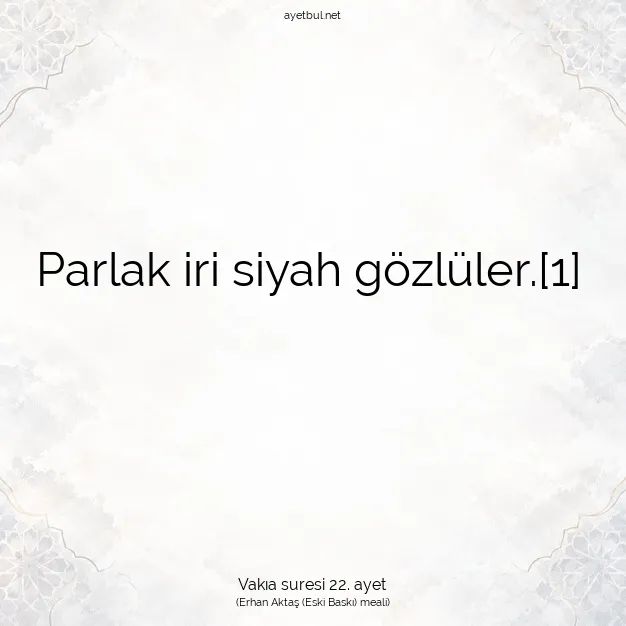 Ayetbul | Kuran Mealleri | Quran | Vakıa suresi 22. ayet