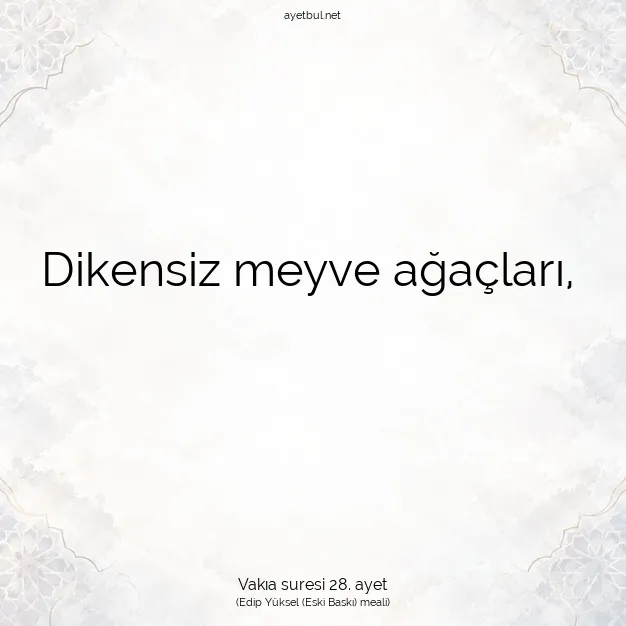 Ayetbul | Kuran Mealleri | Quran | Vakıa suresi 28. ayet