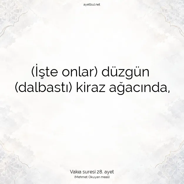 Ayetbul | Kuran Mealleri | Quran | Vakıa suresi 28. ayet
