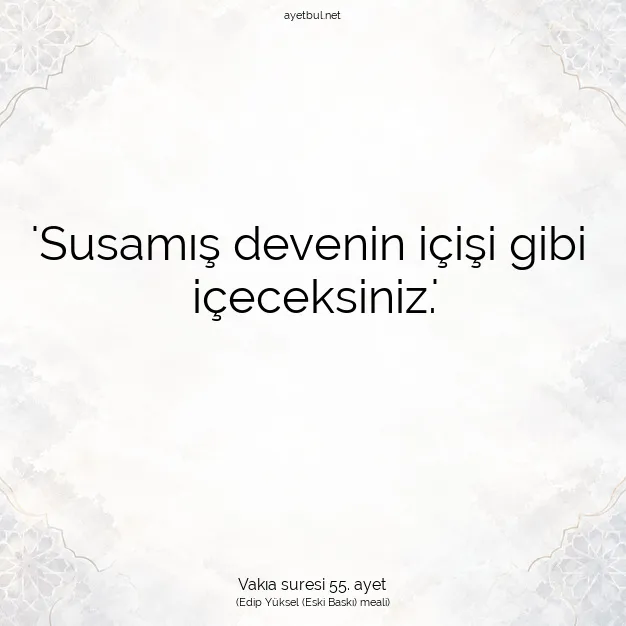 Ayetbul | Kuran Mealleri | Quran | Vakıa suresi 55. ayet