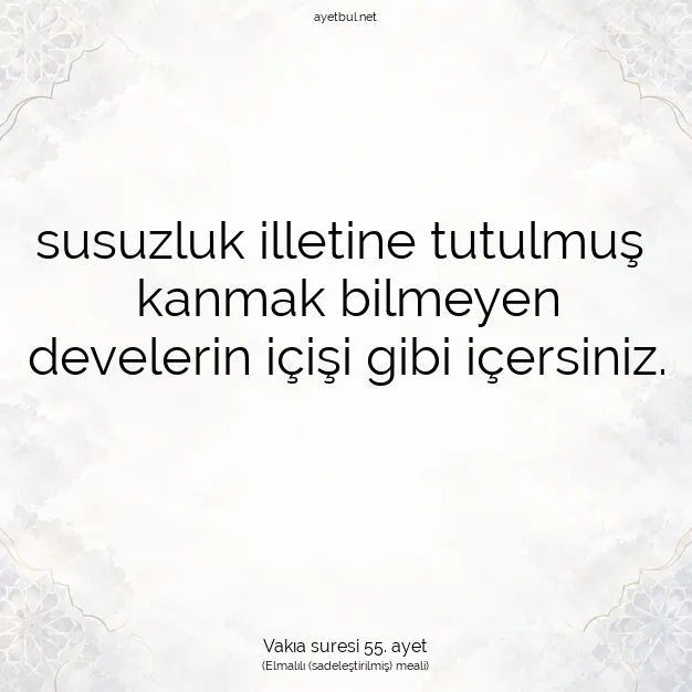 Ayetbul | Kuran Mealleri | Quran | Vakıa suresi 55. ayet