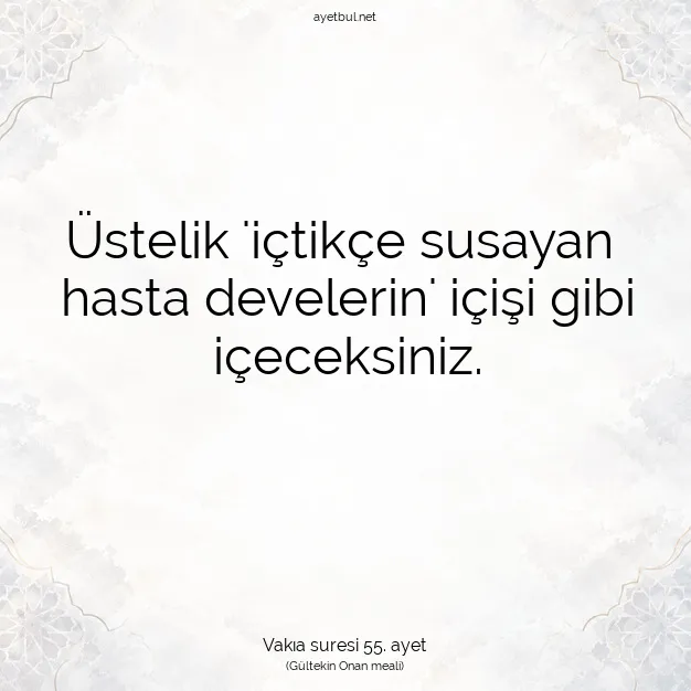 Ayetbul | Kuran Mealleri | Quran | Vakıa suresi 55. ayet