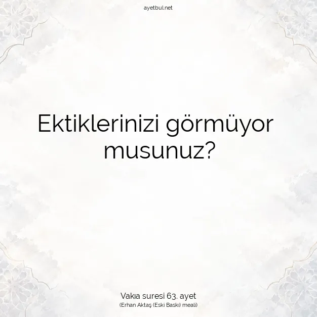 Ayetbul | Kuran Mealleri | Quran | Vakıa suresi 63. ayet