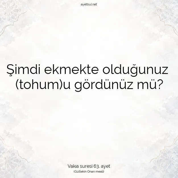 Ayetbul | Kuran Mealleri | Quran | Vakıa suresi 63. ayet