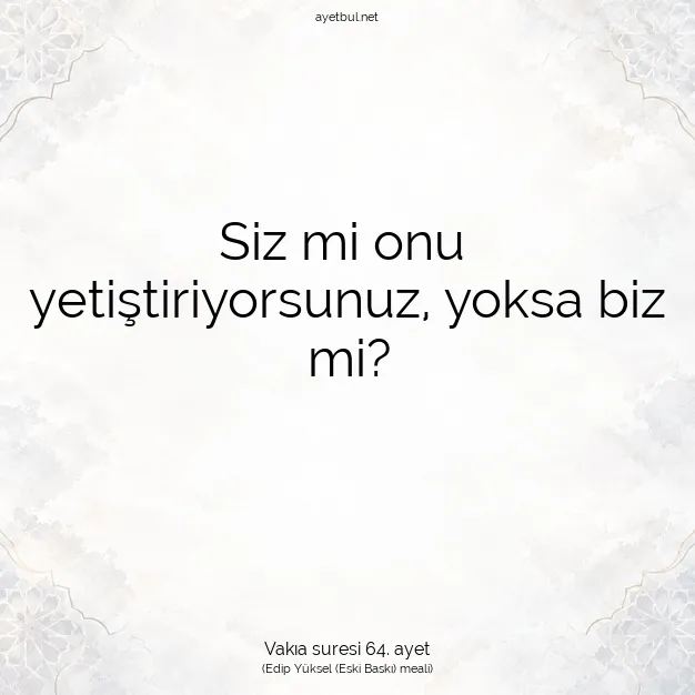 Ayetbul | Kuran Mealleri | Quran | Vakıa suresi 64. ayet